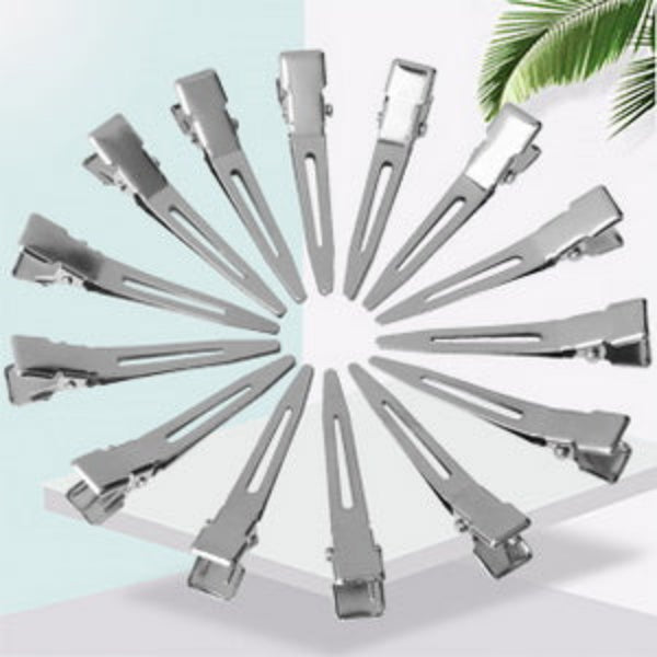 Stainless Steel Hair Control Clips – 10 Piece Set for Sectioning & Styling
